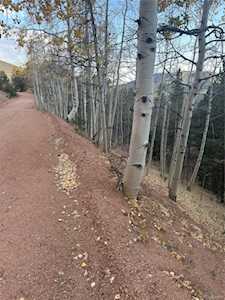 287 Horseshoe Dr Divide, CO 80814