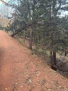 418 Valley Rd Divide, CO 80814