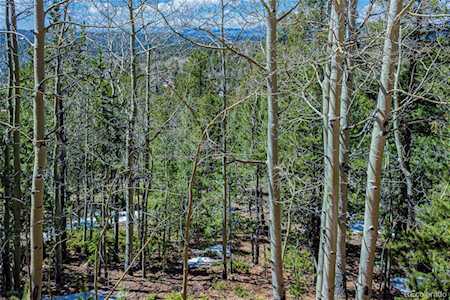 336 Witherite Dr Divide, CO 80814