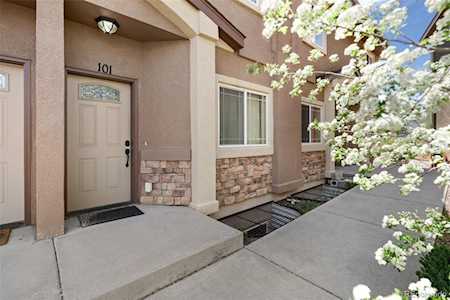 1510 York Rd #101 Colorado Springs, CO 80918