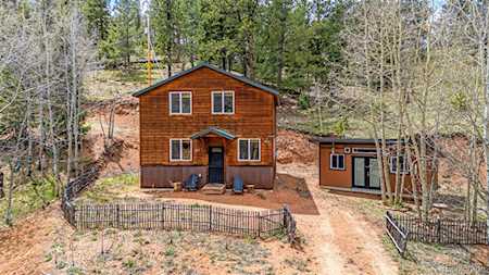 325 Willow Rd Divide, CO 80814