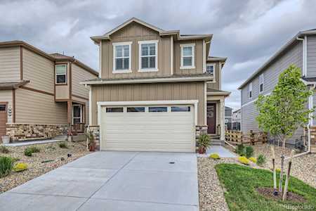 16135 Mountain Flax Dr Monument, CO 80132