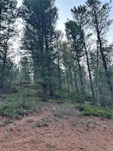 83 Sodalite Rd Divide, CO 80814