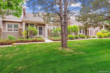 570 Clarendon Loop Castle Pines, CO 80108