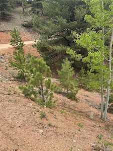1600 Pikes Peak Dr Divide, CO 80814
