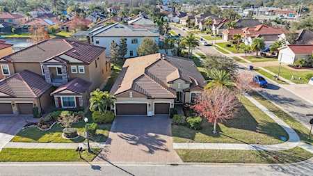 Palm Harbor FL Community
