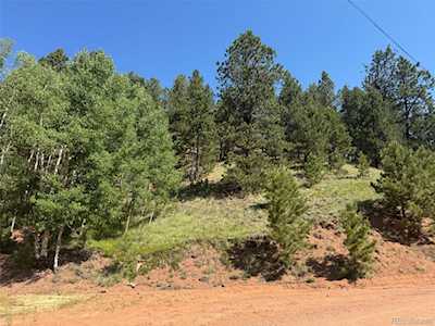 281 Pikes Peak Dr Divide, CO 80814