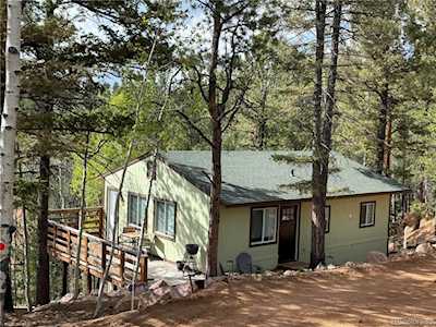 577 Horseshoe Dr Divide, CO 80814