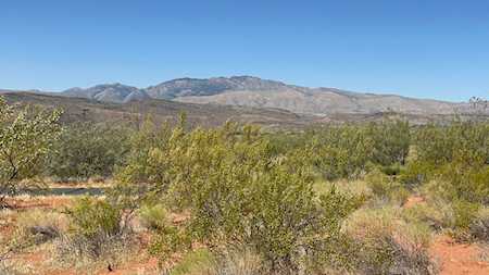 TBD Mallow Way Ivins, UT 84738