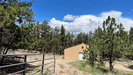 207 Little Bear Dr Westcliffe, CO 81252
