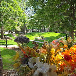 1755 S Pitkin St #A Aurora, CO 80017