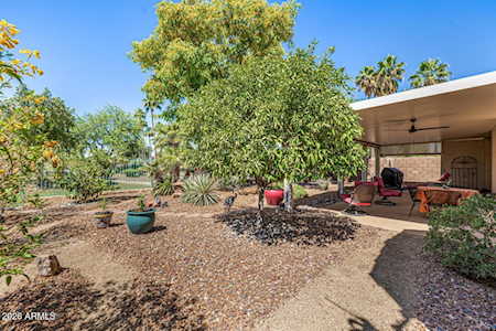 14819 W LUPINE LN Surprise AZ 85374 Property