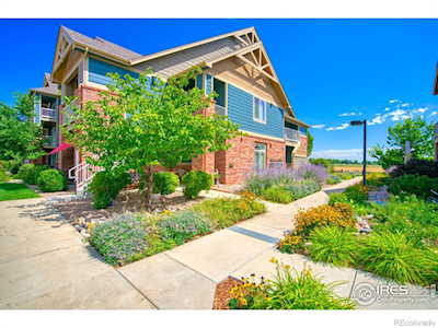 804 Summer Hawk Dr #203 Longmont, CO 80504