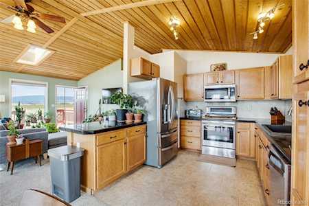 119 Bristlecone Lane Fairplay, CO 80440