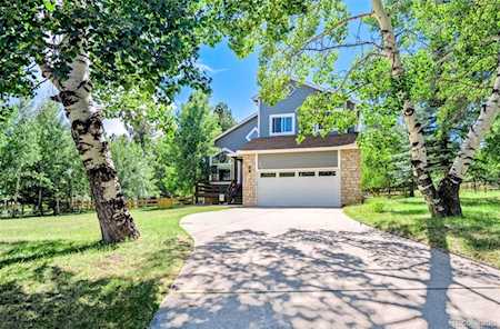 441 Black Bear Trl Woodland Park, CO 80863