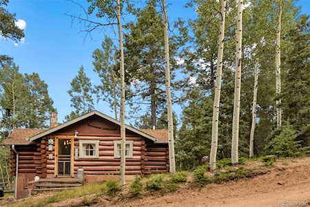 159 Skyline Ln Woodland Park, CO 80863