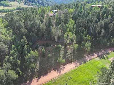 490 Willow Rd Divide, CO 80814