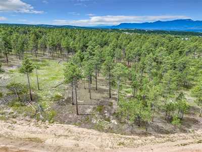 14731 Allen Ranch Rd Colorado Springs, CO 80908