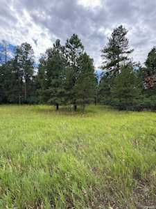 5028 Crow Dr Larkspur, CO 80118