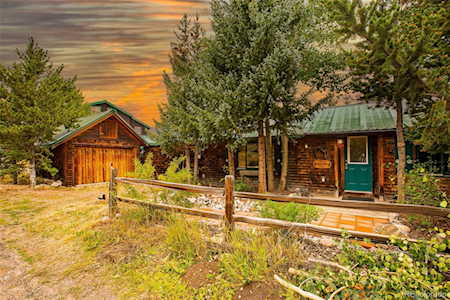 46 Singleton Rd Alma, CO 80420