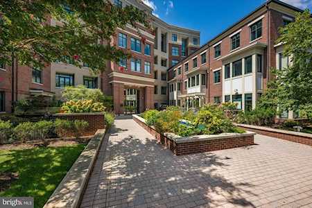 Image showcasing DC Penthouse Condos - Washington DC Real Estate