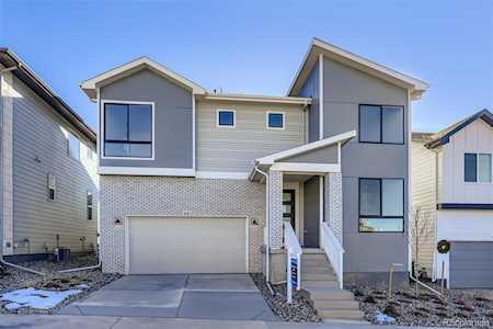445 Welded Tuff Trl Castle Rock, CO 80104
