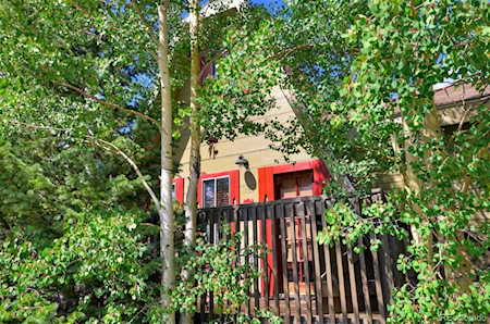 1155 Co Rd 6 Alma, CO 80420