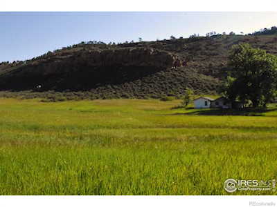 1364 Red Bluff Rd Livermore, CO 80536