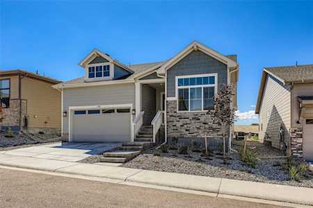 131 Leafy Aster Ln Castle Rock, CO 80104
