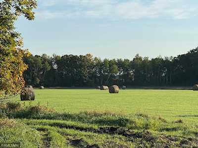 Mora, MN Farms and Ranches For Sale