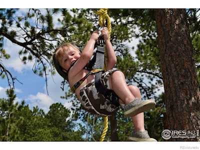 747 Coyote Hill Rd Allenspark, CO 80510