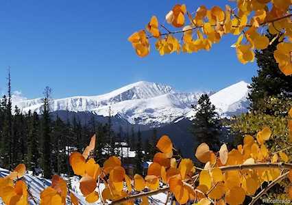 305 S Park #402 Ave #402 Breckenridge, CO 80424