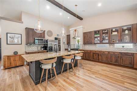 3628 Sky Church Dr Castle Rock, CO 80109