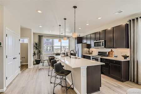 6983 Ipswich Ct Castle Pines, CO 80108