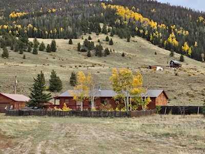 206 La Font Dr Creede, CO 81130