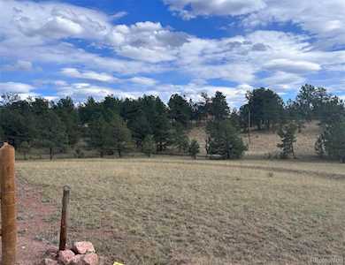382 Arrowhead Dr Florissant, CO 80816