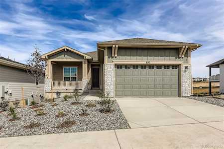 482 Basin Daisy St Castle Rock, CO 80104