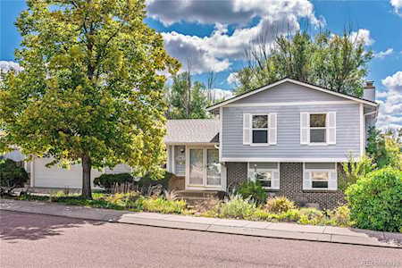 7065 Nettlewood Place Colorado Springs, CO 80918