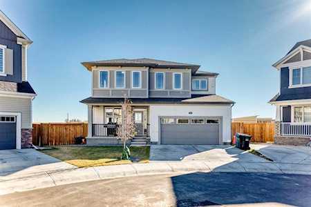 99 Cityline Point NE Calgary, AB T3N2H6