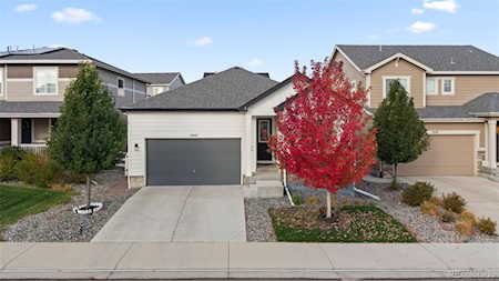 5347 Gray Wolf Ln Castle Rock, CO 80104
