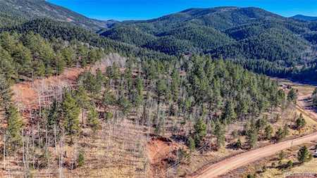 80 Beaver Pond Rd Divide, CO 80814
