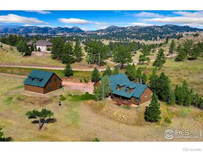 98 Deadhorse Mountain Ct Livermore, CO 80536