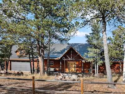 111 Blue Spruce Rd Divide, CO 80814