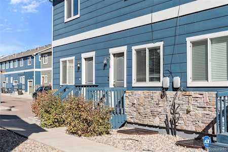 4316 Yellow Dock Point Colorado Springs, CO 80911