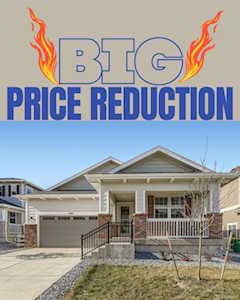 7287 S White Crow Way Aurora, CO 80016