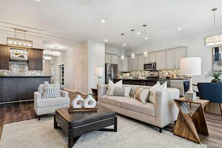 532 Woodroot Circle Castle Rock, CO 80104