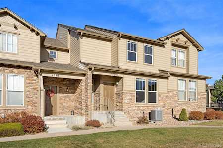 1243 Timber Run Heights Monument, CO 80132