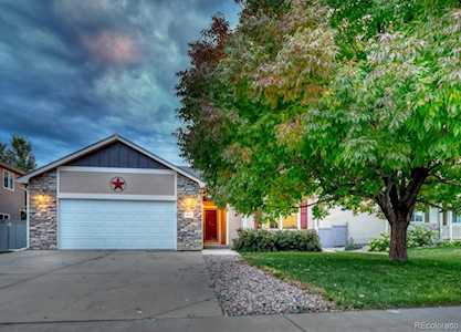 3377 Crazy Horse Dr Wellington, CO 80549