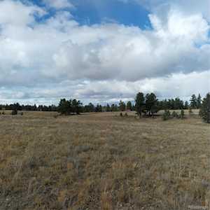 0 Singletree Rd Buena Vista, CO 81211