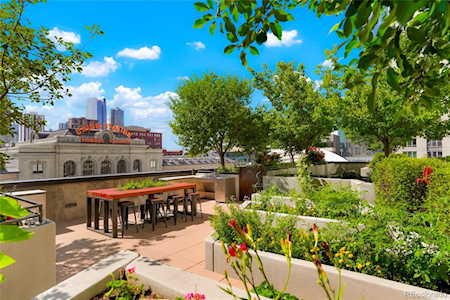 1750 Wewatta St #704 Denver, CO 80202